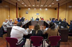 Imatge general de la sala de plens durant la sessió del 15 de març de 2022